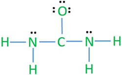 mark electron pairs on urea molecule